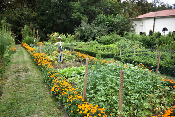 Zeleninová zahrada, Národní zemědělské muzeum Kačina